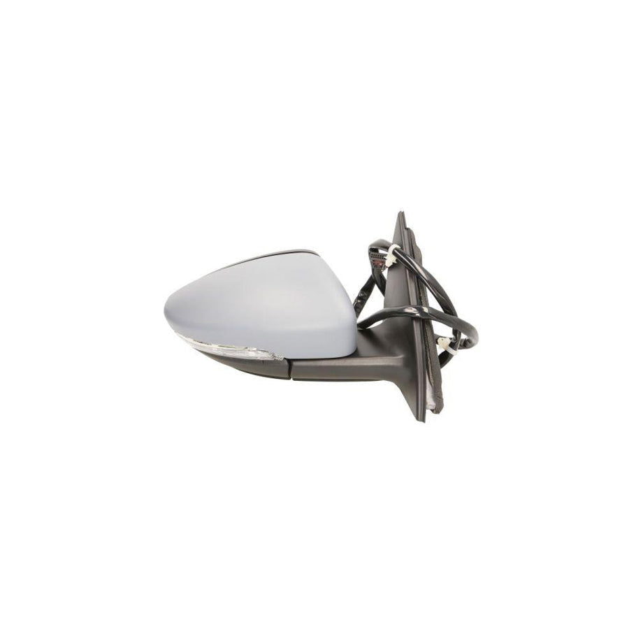 Blic 5402-01-2002676P Wing Mirror for VW Passat
