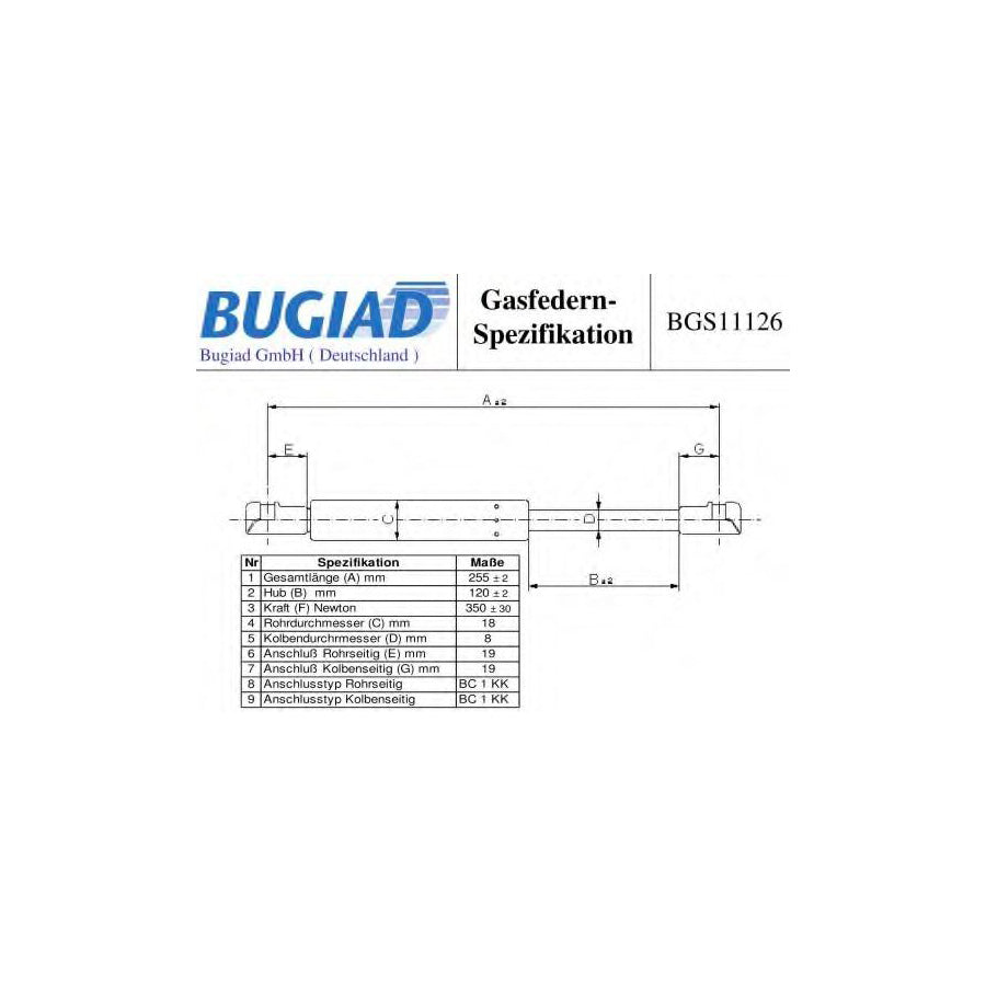 BUGIAD Bgs11126 Tailgate Strut for Audi A3 Convertible (8P7)