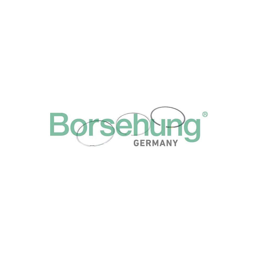 Borsehung B10368 Piston Ring Kit