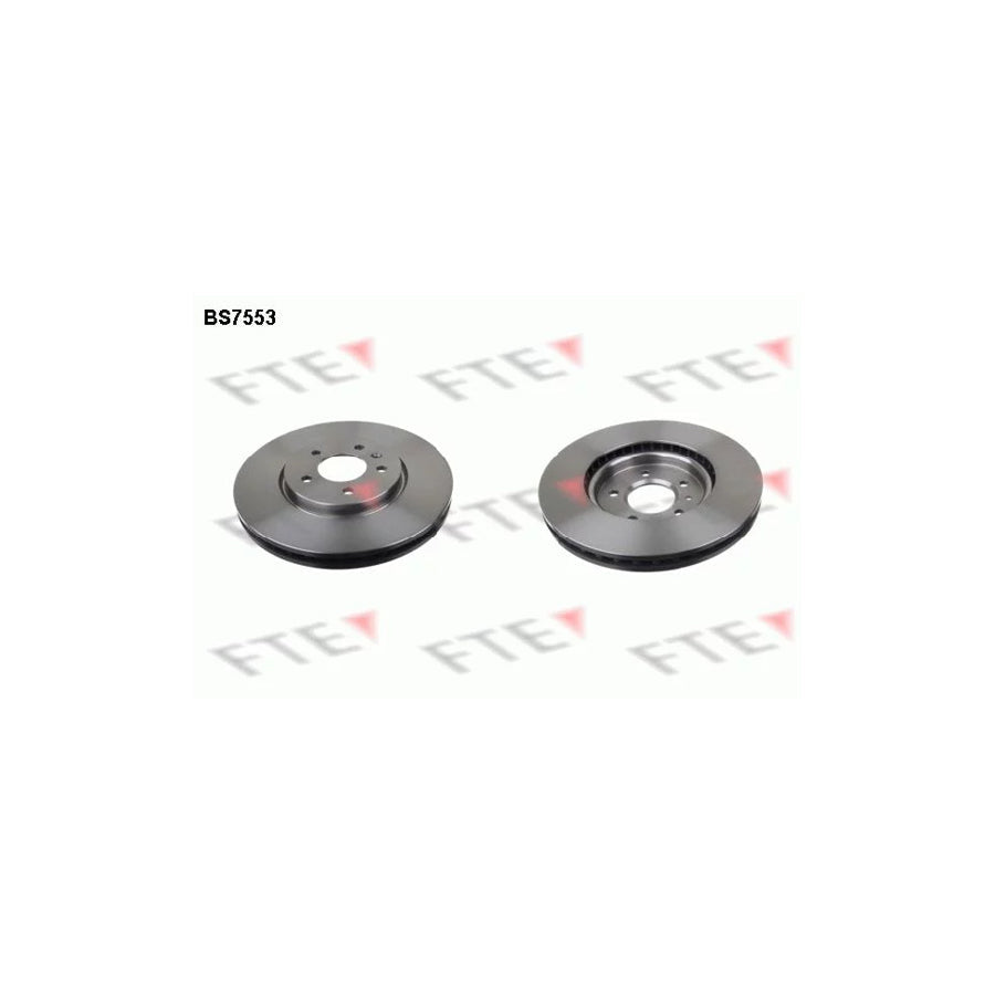 FTE 9071090 Brake Disc