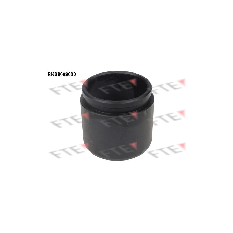 FTE Rks8699030 Piston, Brake Caliper