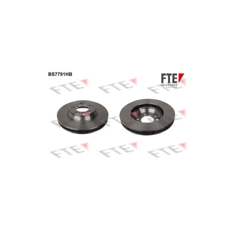 FTE 9081012 Brake Disc