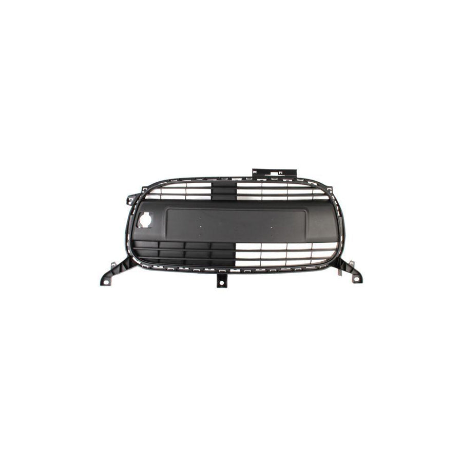 Blic 6502-07-0501991Q Radiator Grille for Citroen C1 I