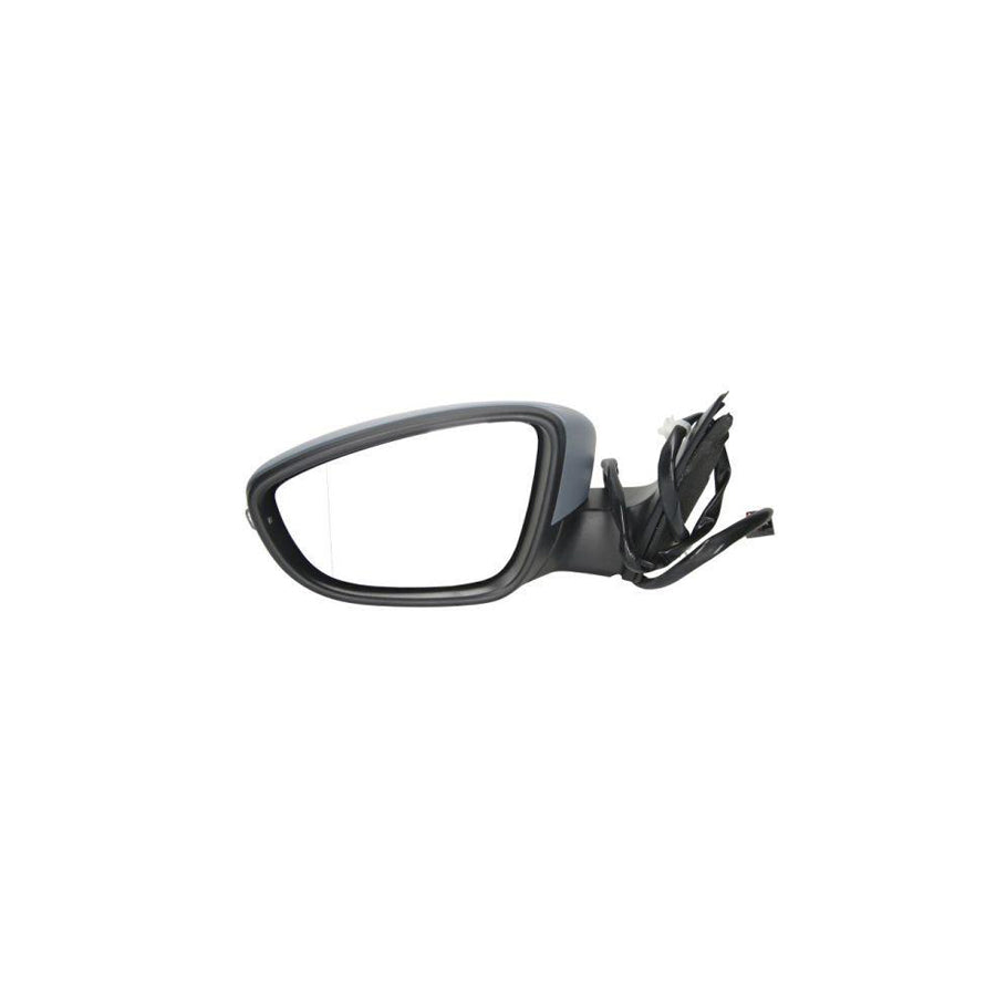 Blic 5402-01-2002673P Wing Mirror for VW Passat
