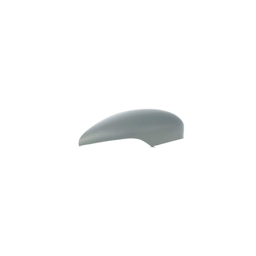 Abakus 1214C02 Cover, Outside Mirror for Ford Fiesta Mk6 Hatchback (Ja8, Jr8)