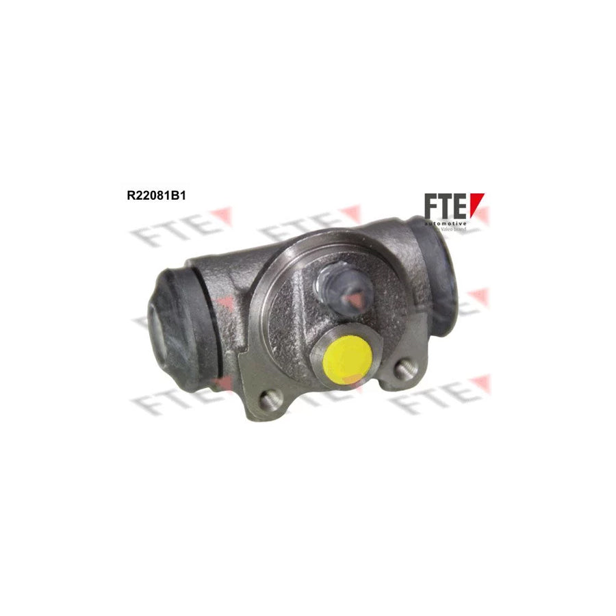 FTE R22081B1 Wheel Brake Cylinder