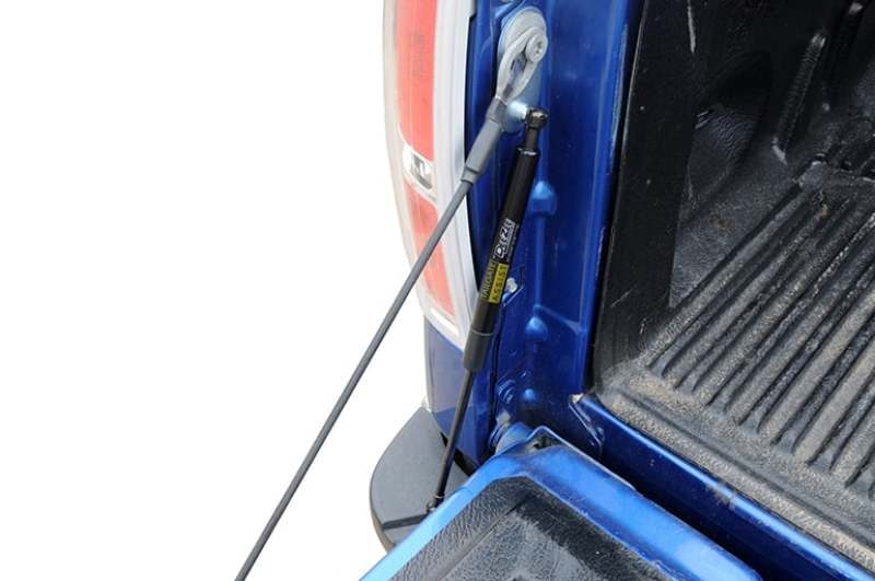 Dee Zee 15-23 Ford F150 Tailgate Assist Shock