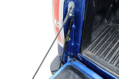 Dee Zee 15-23 Ford F150 Tailgate Assist Shock