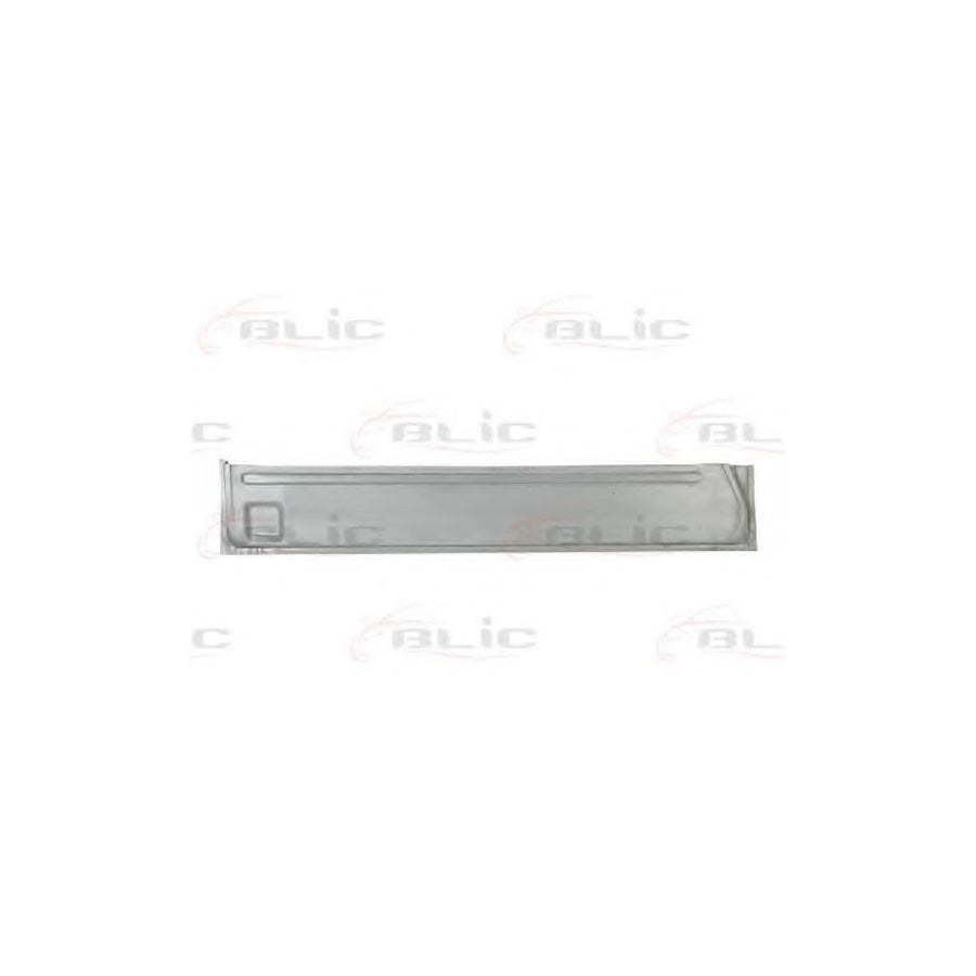 Blic 6505-06-3546013P Door, Body