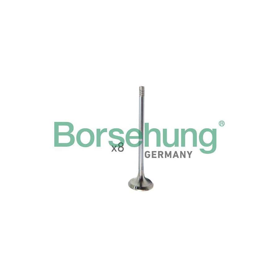 Borsehung B10322 Inlet Valve