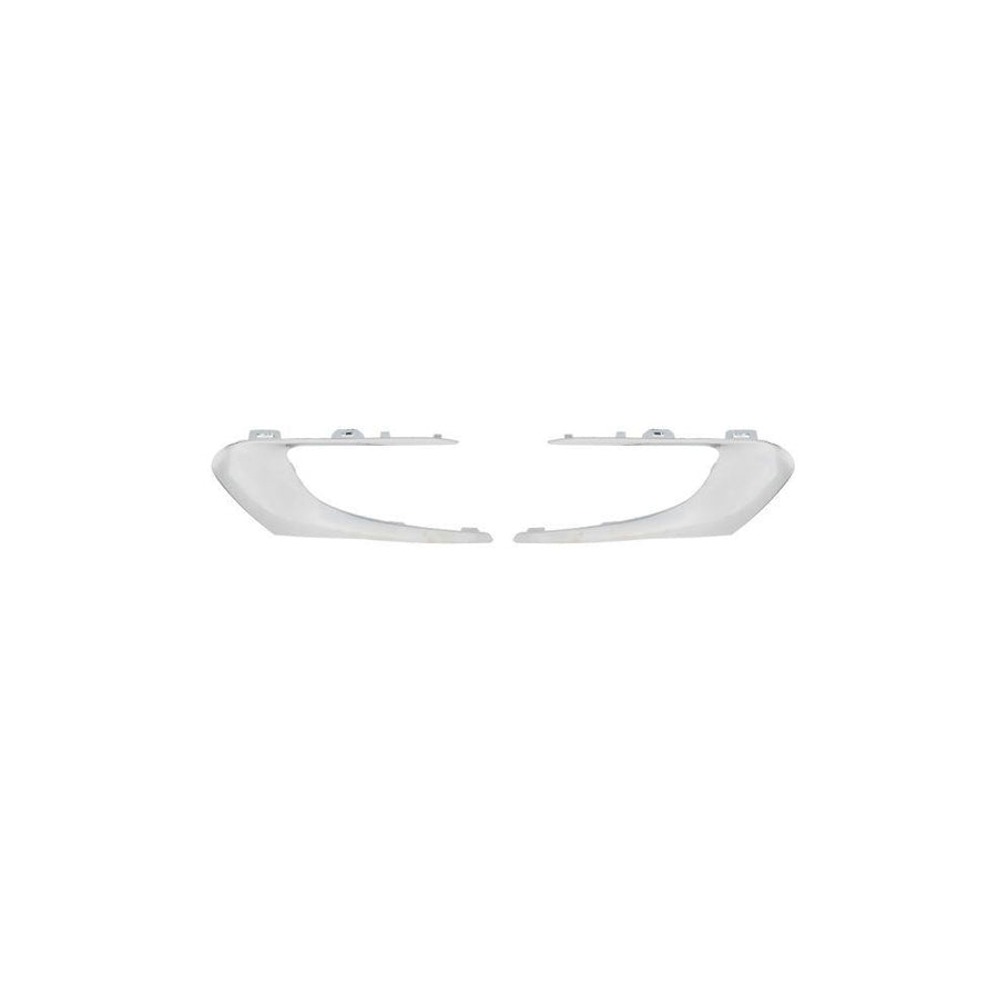 Blic 6502-07-5519919Pp Bumper Moulding for Peugeot 308