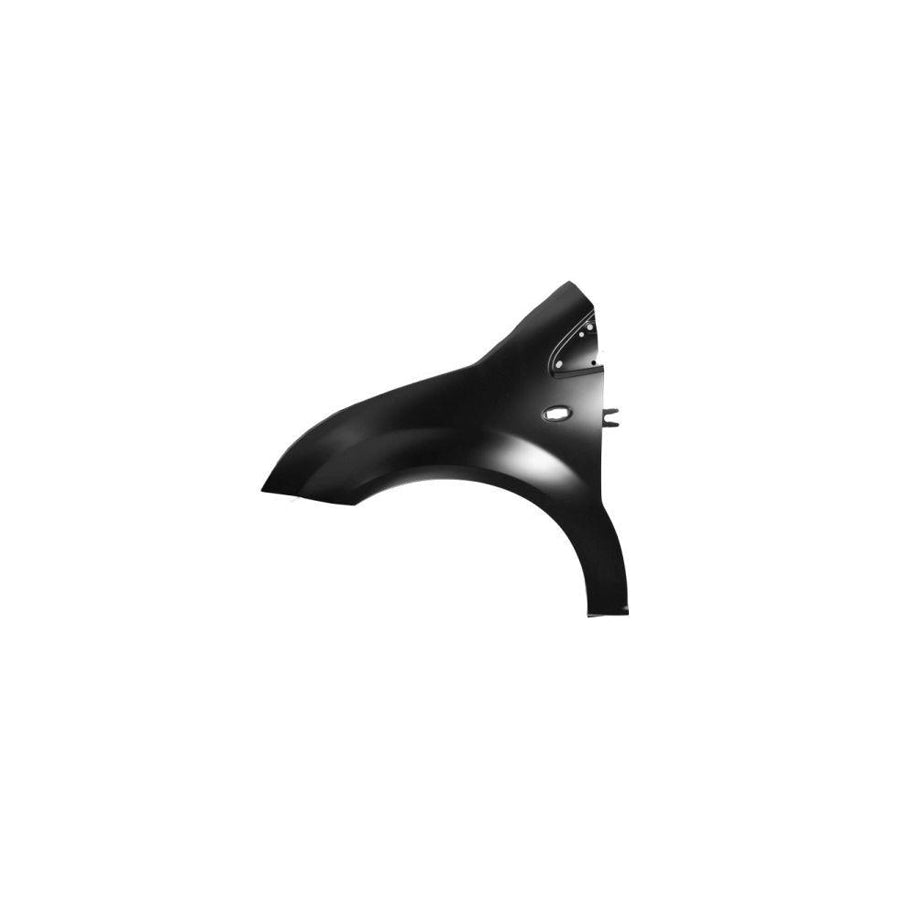 Blic 6504-04-0511311P Wing Fender for Citroen C2