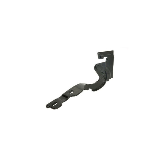 Blic 6802-00-3120452P Hinge, Bonnet for Hyundai I10 I (Pa)