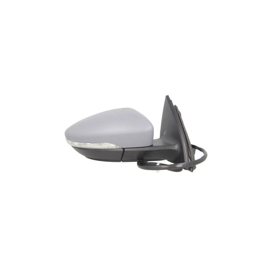 Blic 5402-01-2002670P Wing Mirror for VW Passat