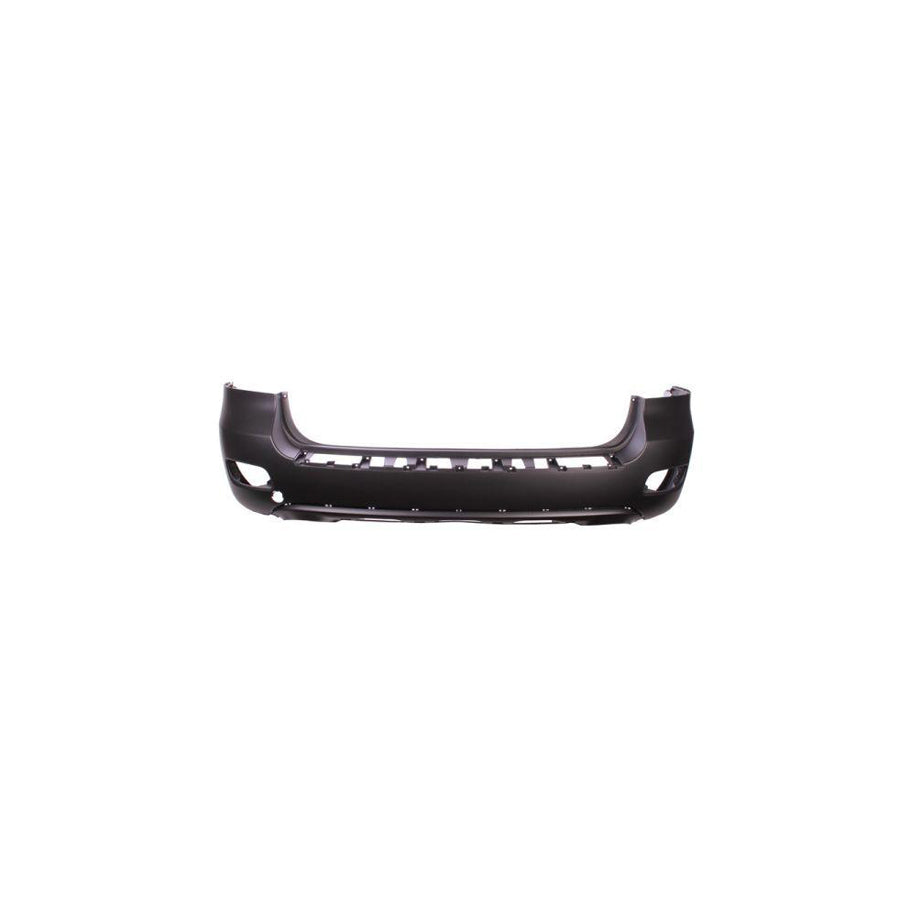 Blic 5506-00-3181950P Rear Bumper for Hyundai Santa Fe II (CM)