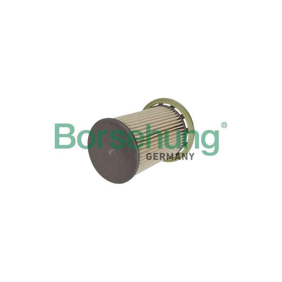 Borsehung B10525 Fuel Filter for VW Touareg II (7P5, 7P6)