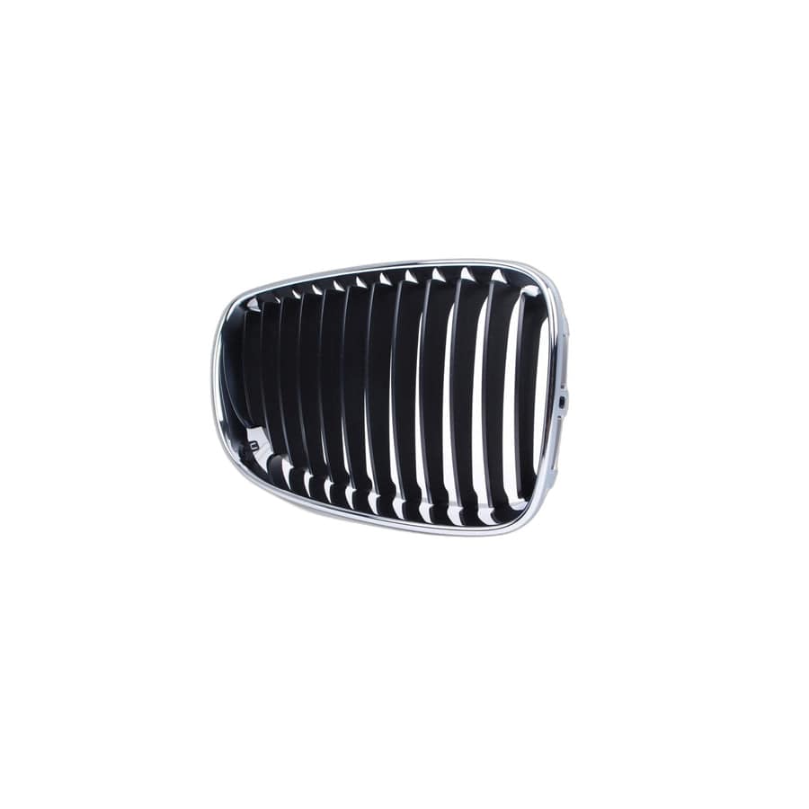 Genuine BMW 51137166440 E87 E82 E81 Grille W Chrome Frame, Right (Inc. 125i, 120i & 135i)