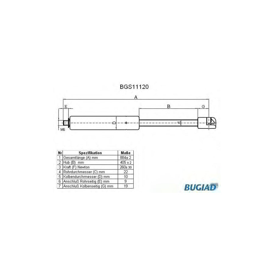 BUGIAD Bgs11120 Bonnet Strut Suitable for Mercedes-Benz Slk (R170)