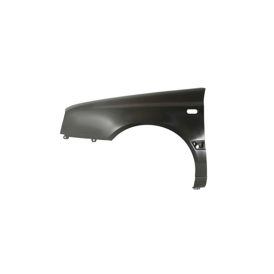 Blic 6601-01-0063810P Repair Panel For BMW 3 Series