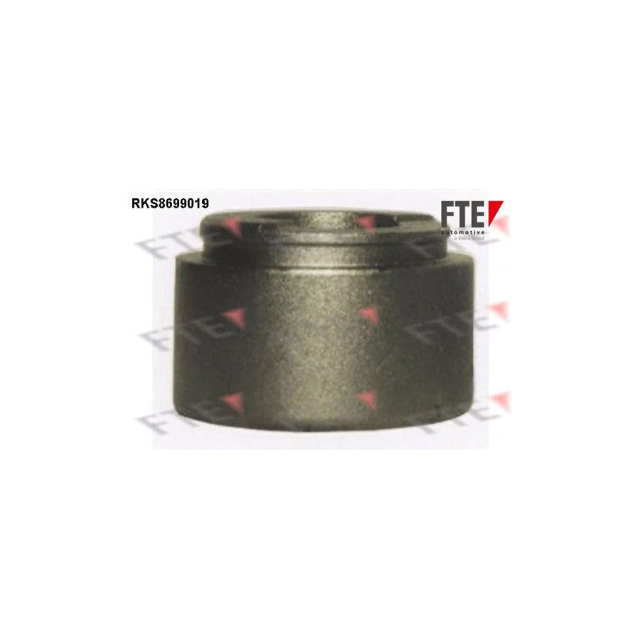 FTE Rks8699019 Piston, Brake Caliper