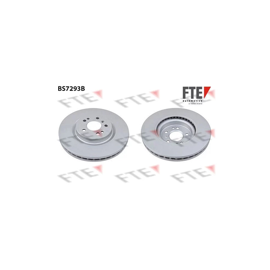 FTE 9081026 Brake Disc