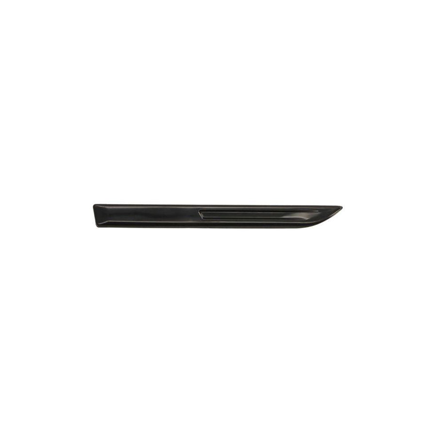 Blic 5703-08-6044376P Trim / Protective Strip, Mudguard for Renault Megane