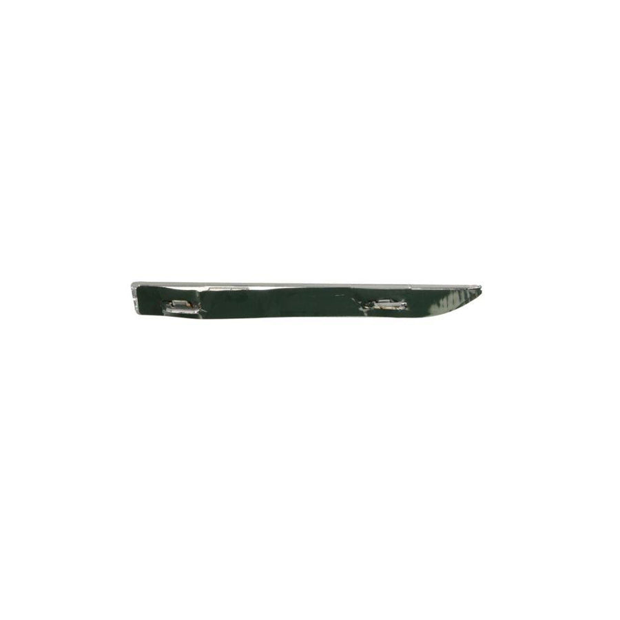 Blic 5703-08-6044375Cp Trim / Protective Strip, Mudguard for Renault Megane