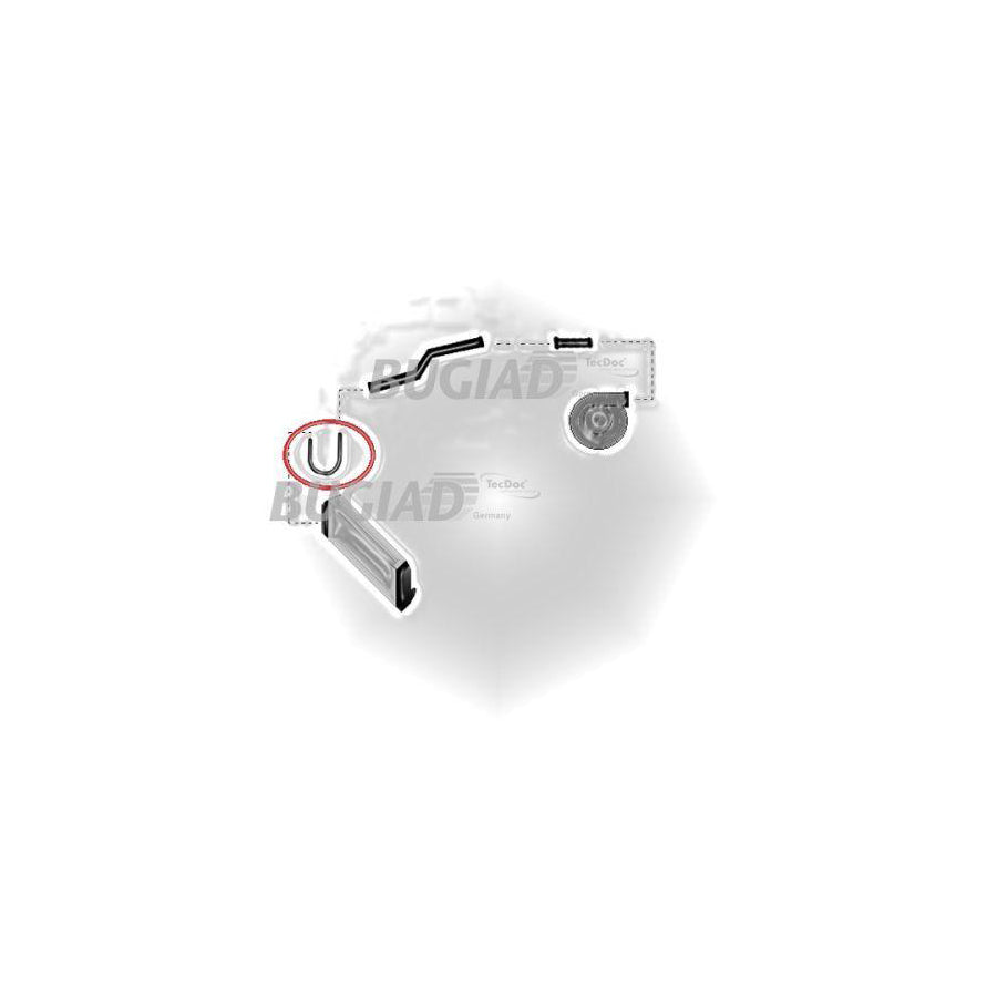 Bugiad 85618 Charger Intake Hose
