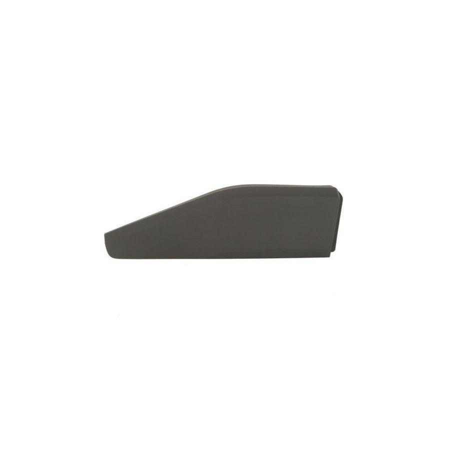 Blic 5703-04-8182574P Door Molding for Toyota C-Hr (Ax10)