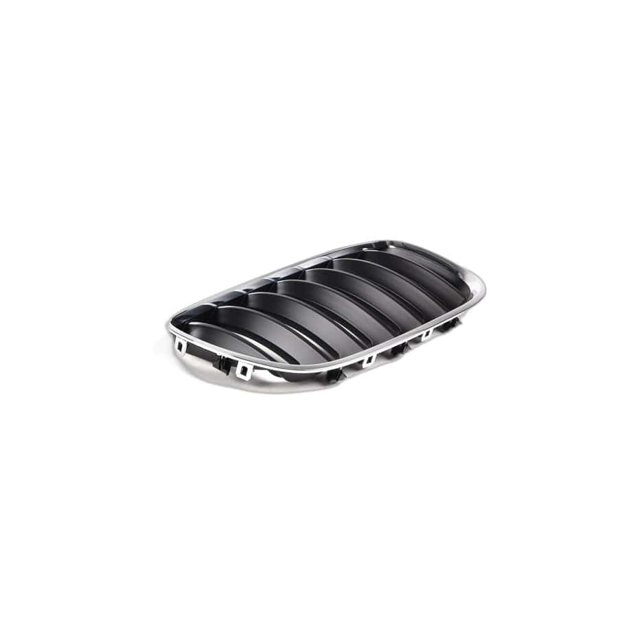 Genuine BMW 51137113734 E53 Grille, Front, Right (Inc. X5 3.0d & X5 3.0i)