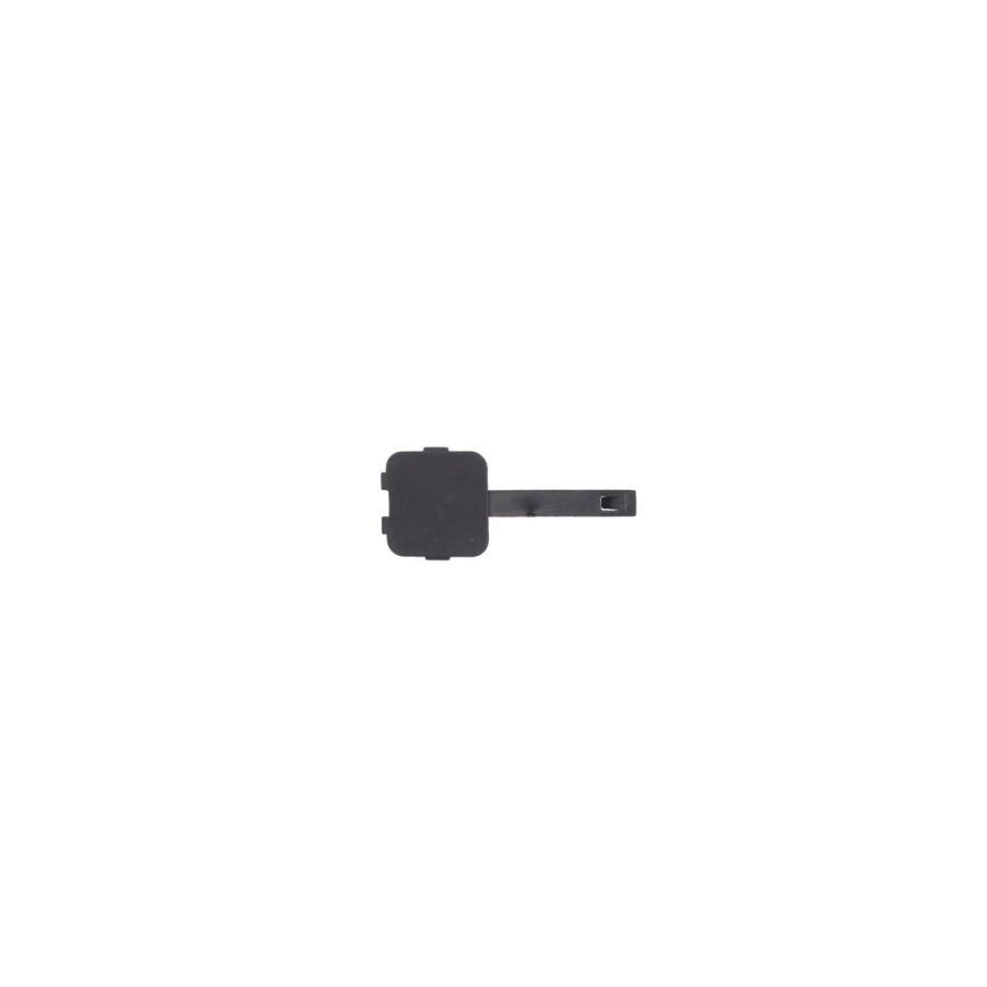 Blic 6502-07-0511921P Flap, Tow Hook for Citroen C2