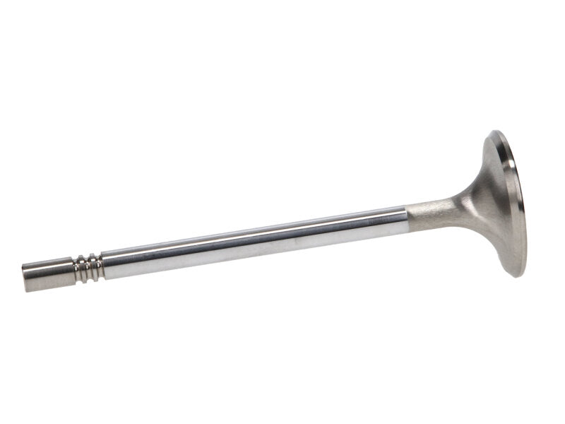Manley Performance Manley Ford Racing Cylinder Head 4.6L & 5.4L SOHC 36.0mm Race Master Exhaust Valves *Set of 8*