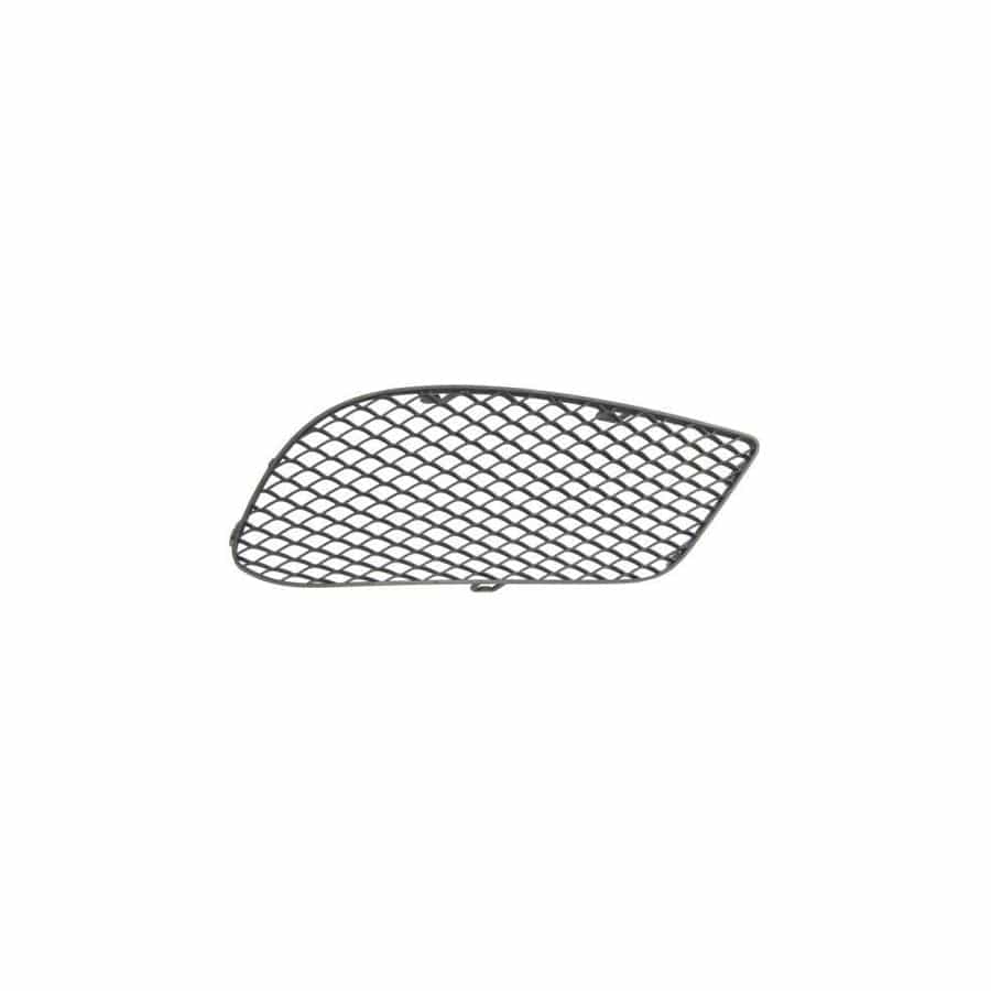 Blic 5513-00-3529914P Bumper Grill Suitable for Mercedes-Benz E-Class