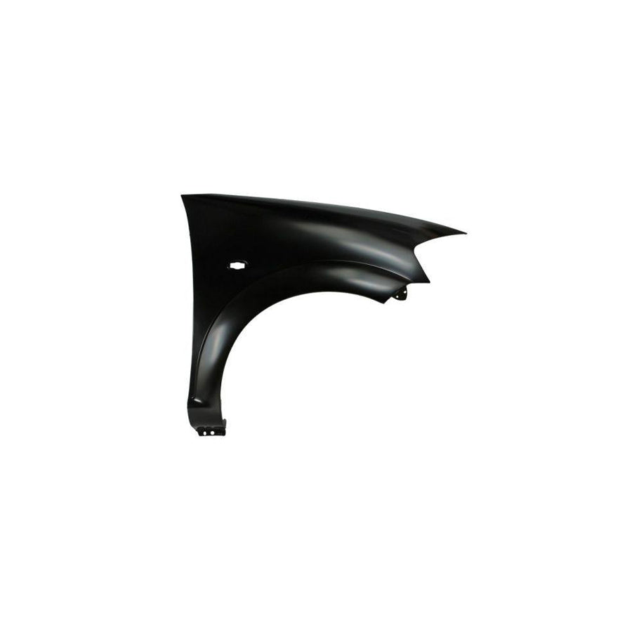 Blic 6504-04-0519312Q Wing Fender for Citroen C3 I Hatchback (Fc, Fn)