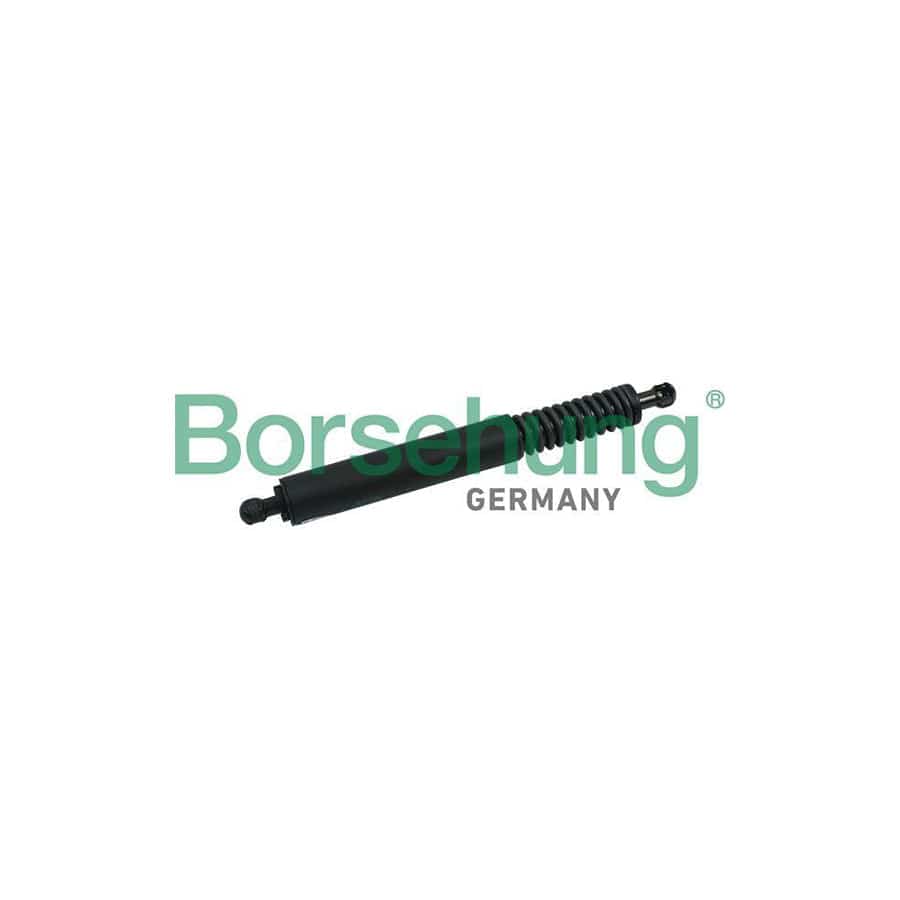 Borsehung B18456 Tailgate Strut for VW Touareg I (7La, 7L6, 7L7)