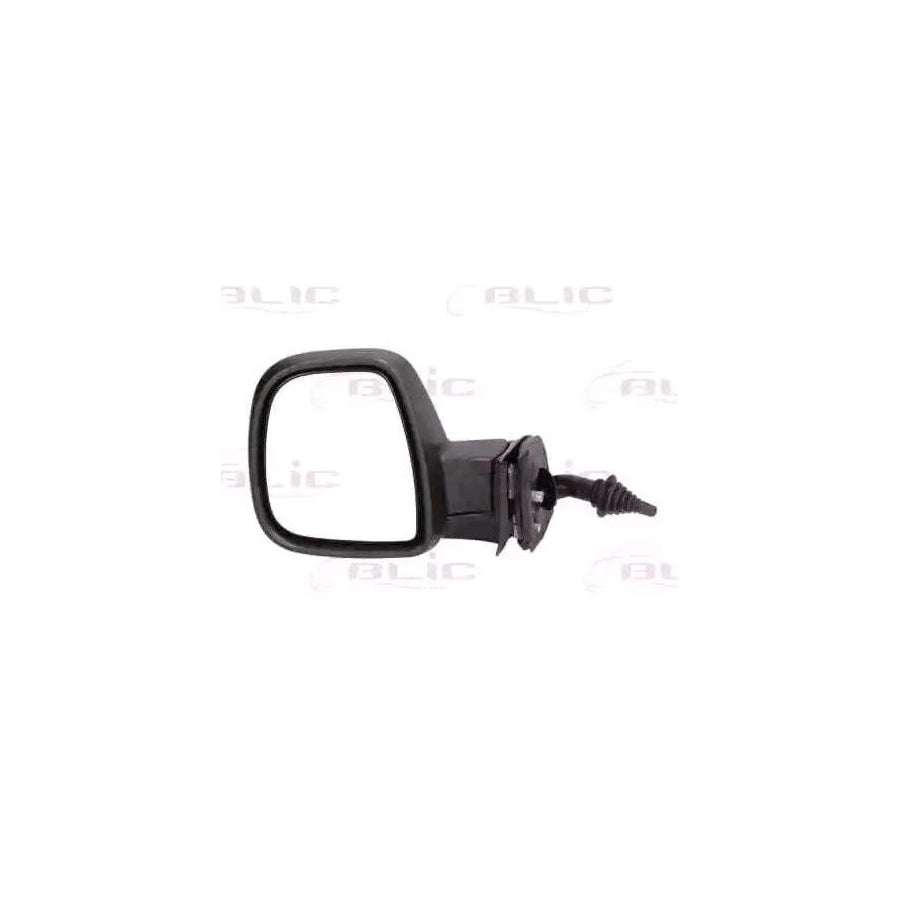 Blic 5402-04-9212993P Wing Mirror