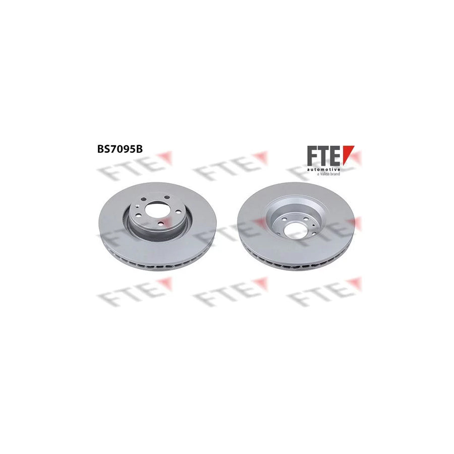 FTE 9081019 Brake Disc
