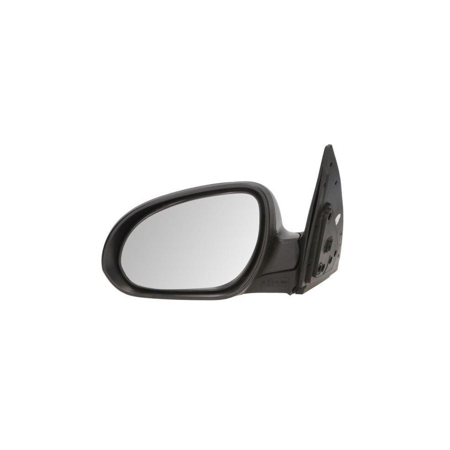 Blic 5402-20-2002841P Wing Mirror for Hyundai I30