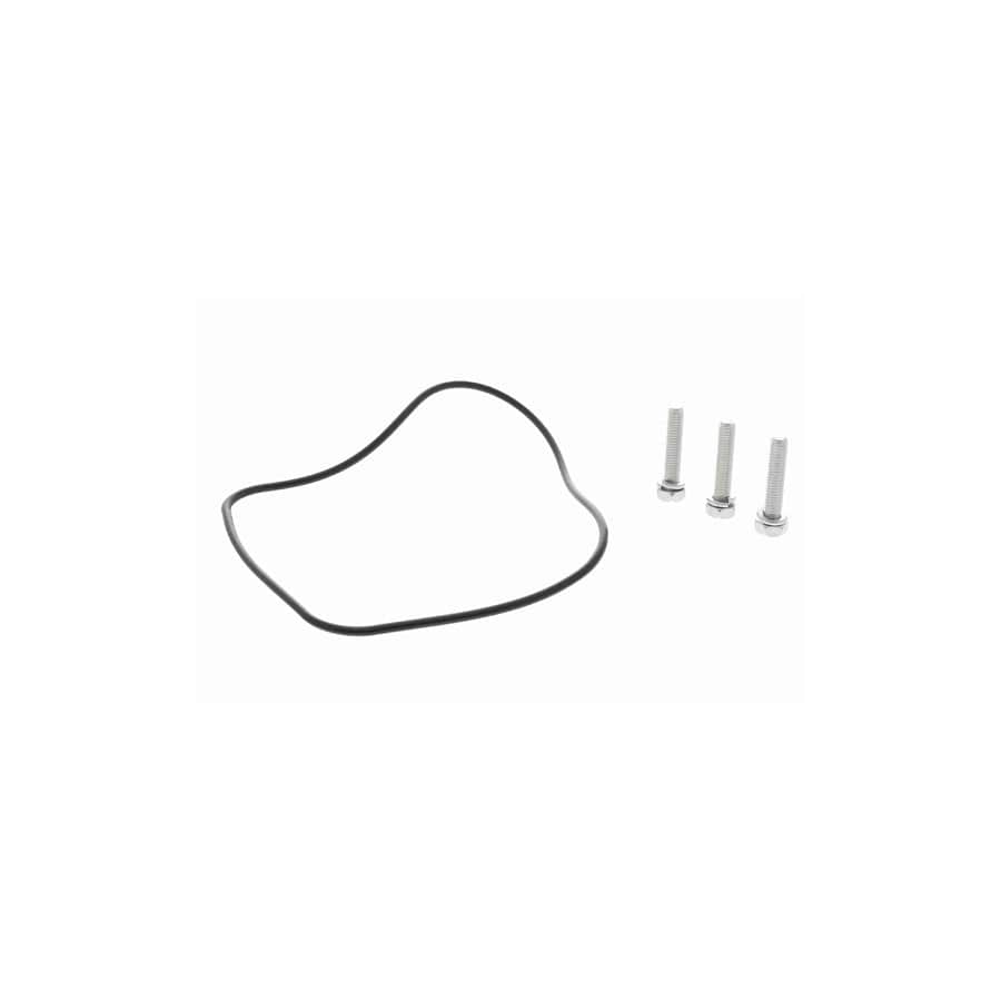 Ackoja A26-70-0019 Distributor Cap