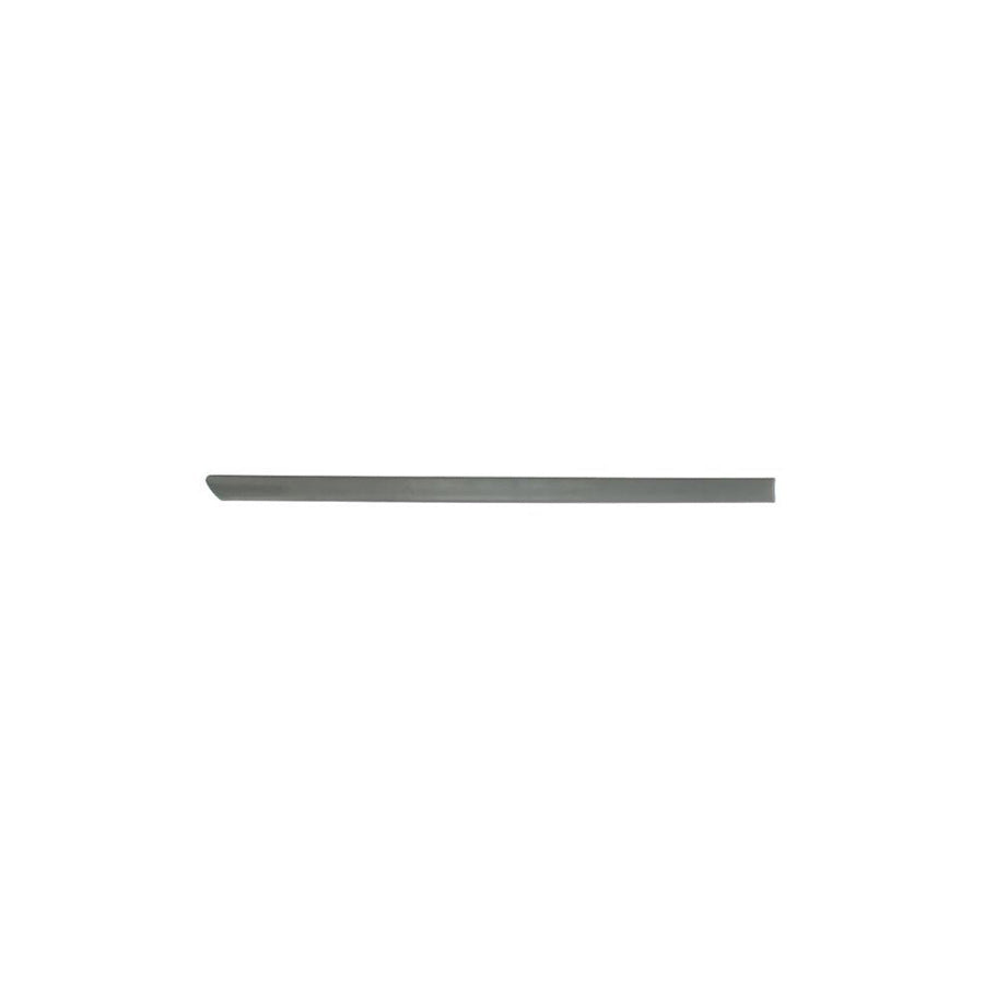 Blic 5703-04-9504578P Door Molding for VW Polo