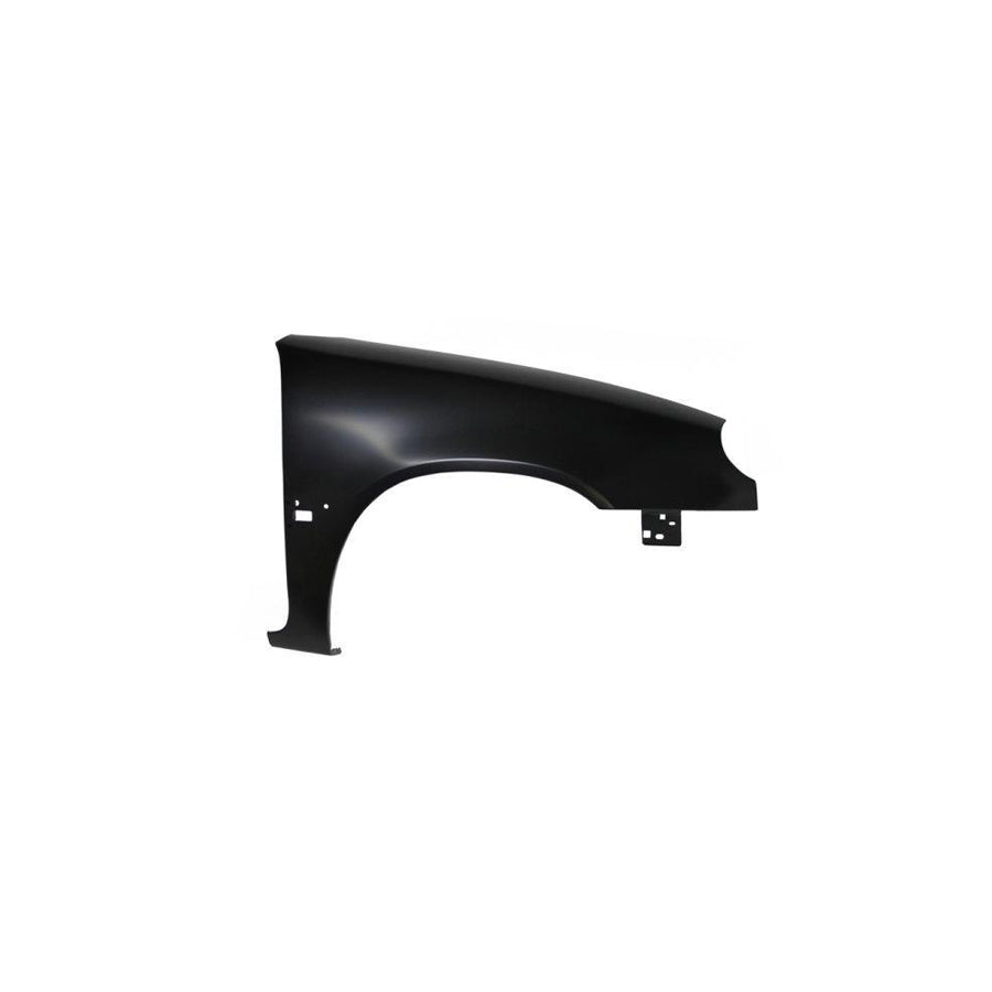 Blic 6504-04-0518314P Wing Fender for Citroen Saxo Hatchback