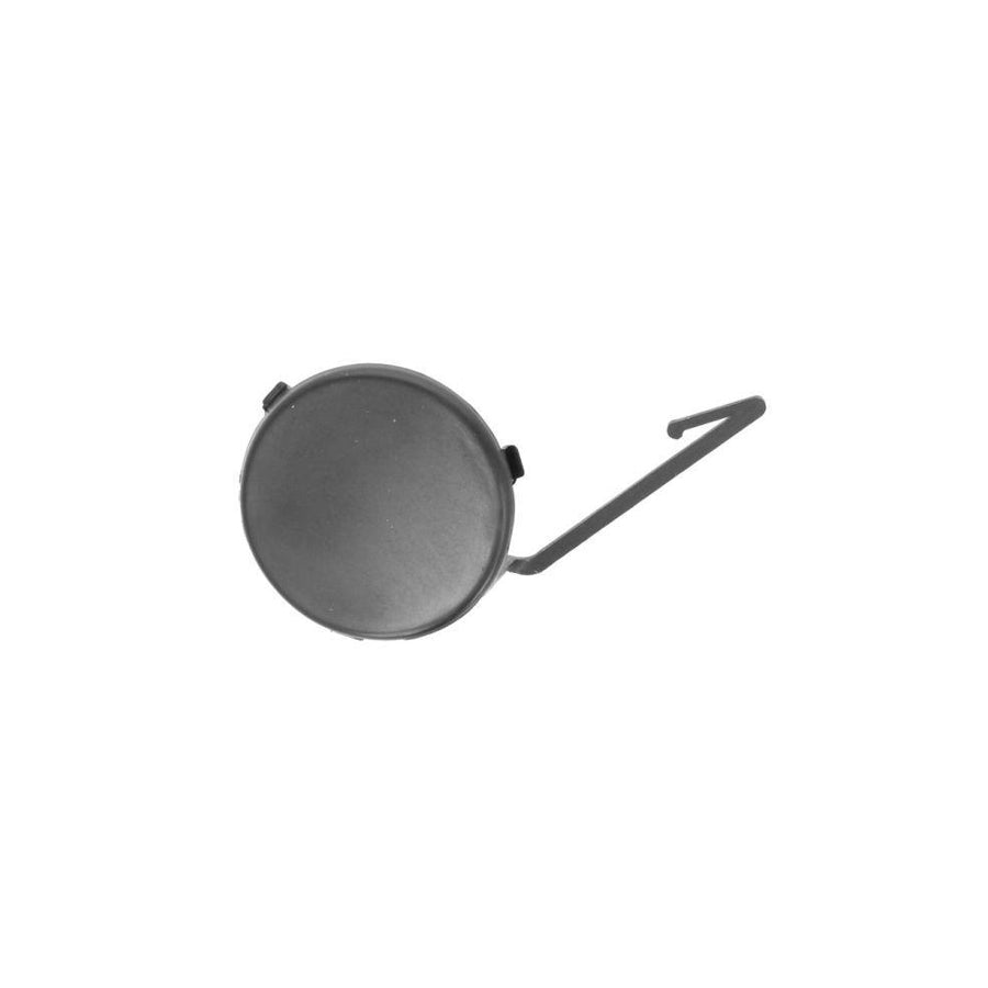 Blic 6502-07-0511920P Flap, Tow Hook for Citroen C2