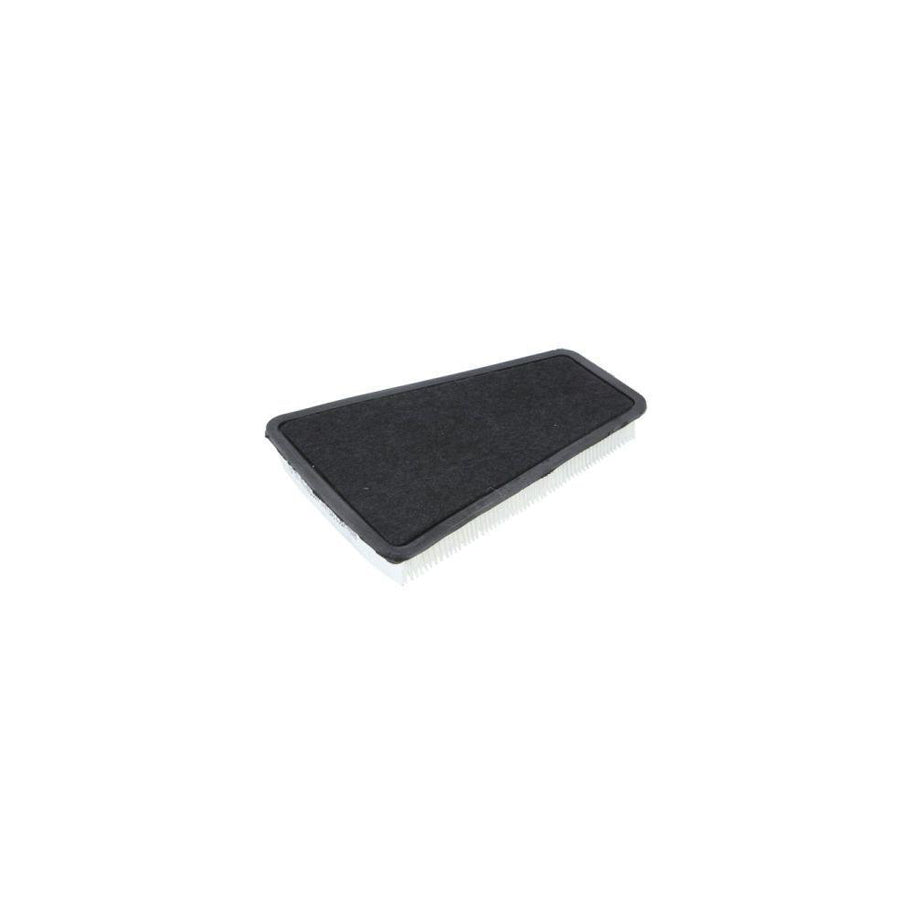 Boss Filters Bs02-098 Pollen Filter