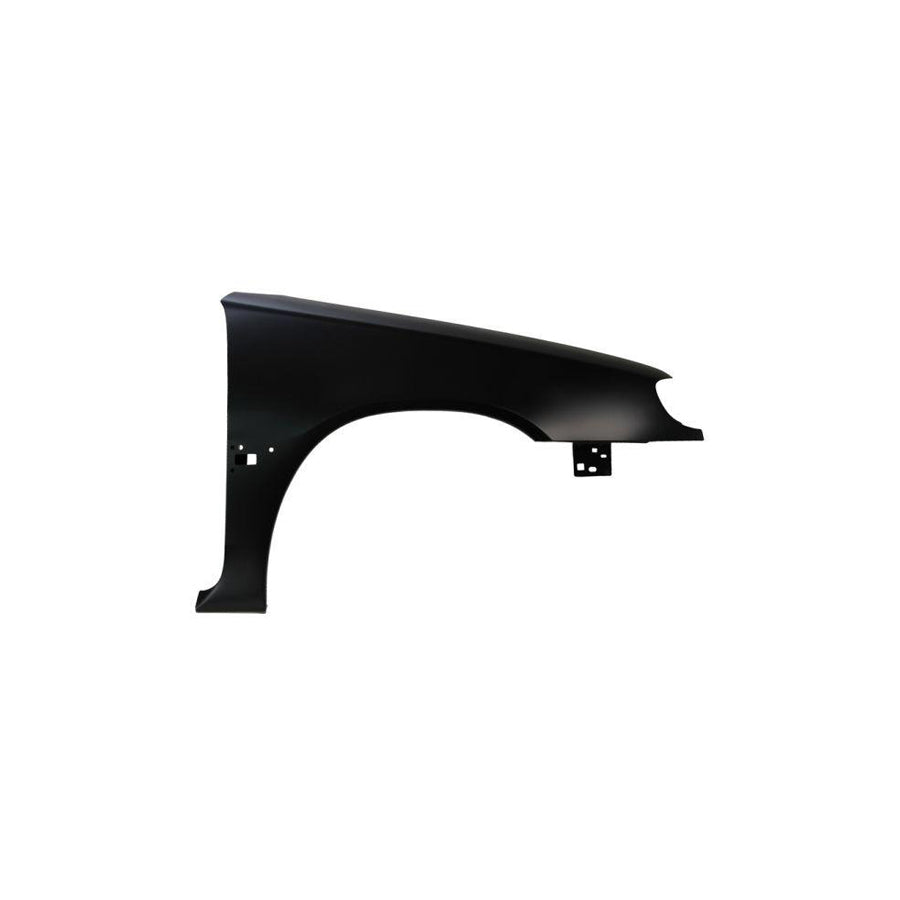 Blic 6504-04-0518312P Wing Fender for Citroen Saxo Hatchback