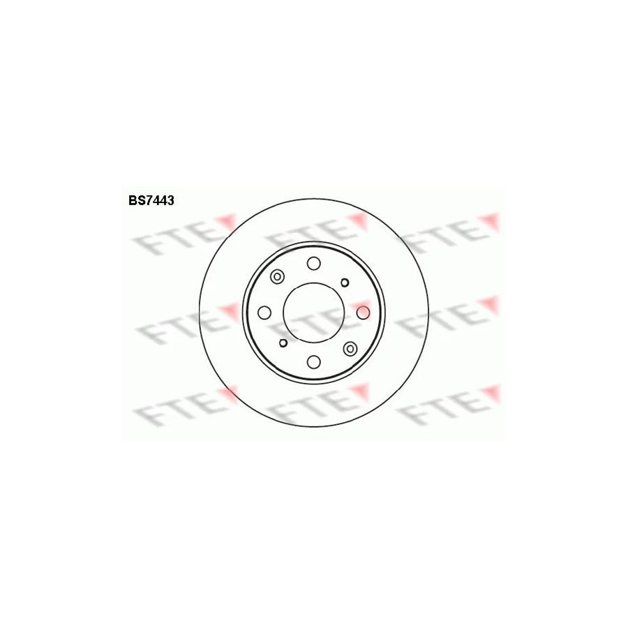 FTE Bs7443 Brake Disc