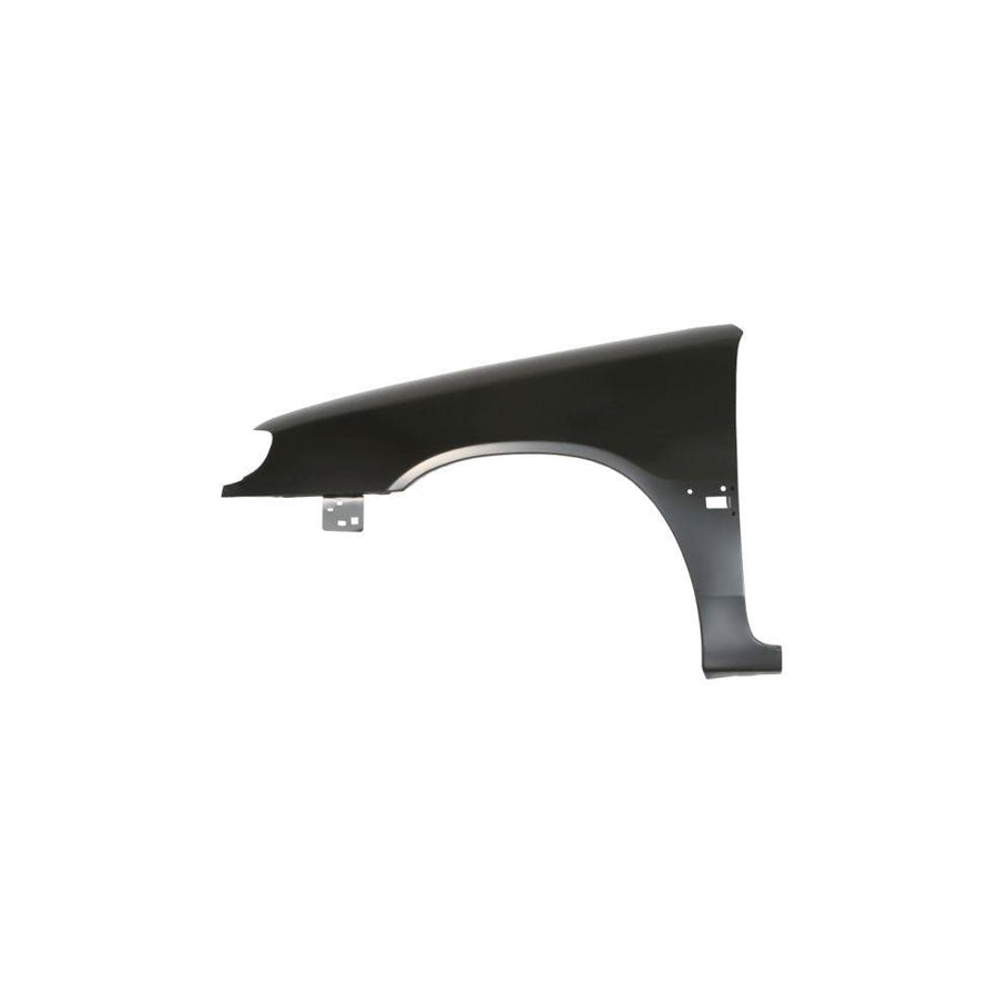 Blic 6504-04-0518311P Wing Fender for Citroen Saxo Hatchback