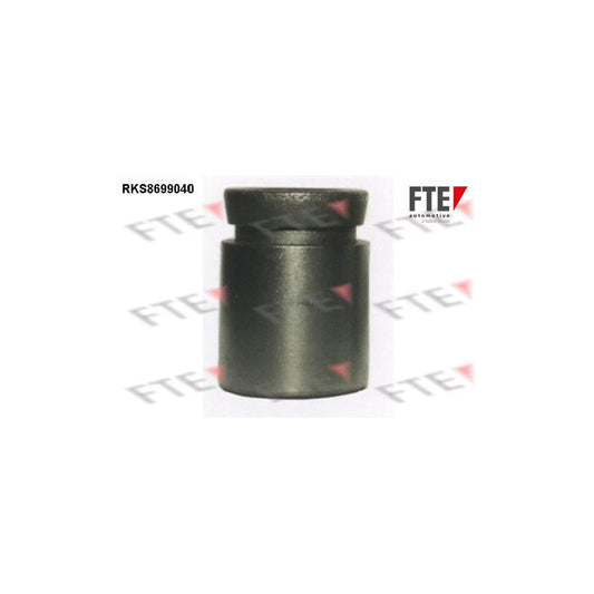FTE Rks8699040 Piston, Brake Caliper