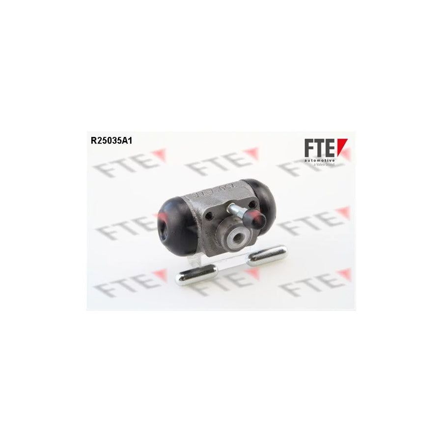 FTE R25035A1 Wheel Brake Cylinder