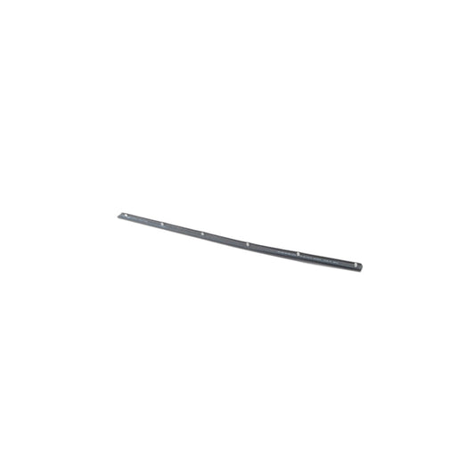 Genuine BMW 51228223767 E65 Gasket, Door Joint, Bottom Rear Left (Inc. 730i, 745i & 740d)
