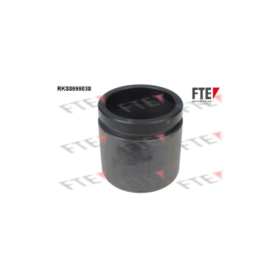 FTE Rks8699038 Piston, Brake Caliper